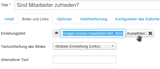 Das Einleitungsbild in die Textbox einf&uuml;gen