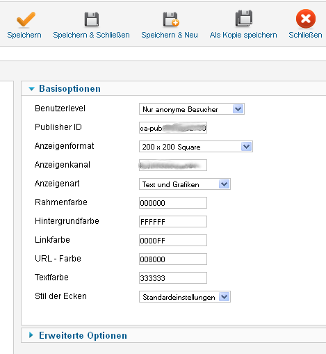 Die Einstellungen für das Google Adsense Modul