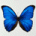 jdgf's Avatar